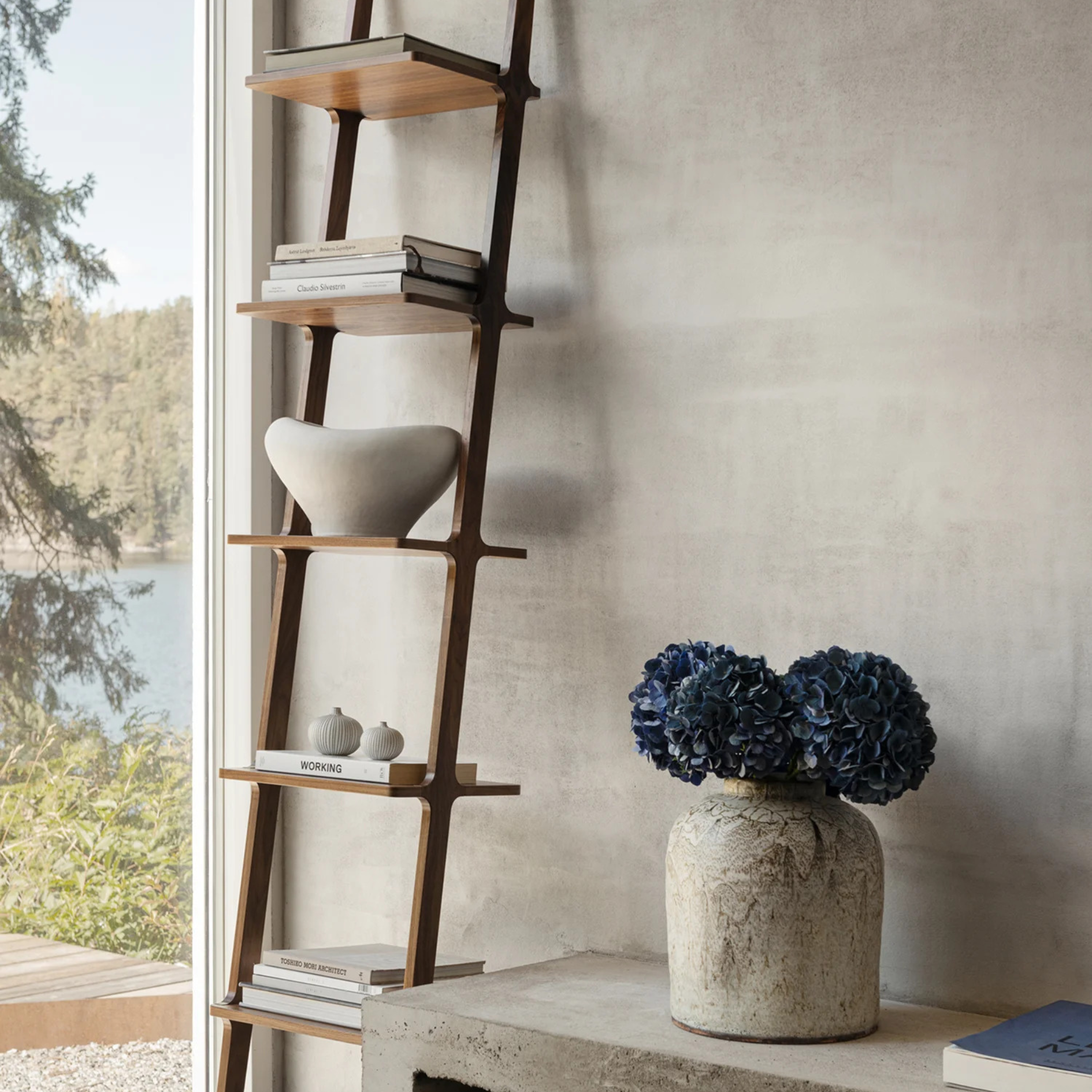 Libri 5 Shelves